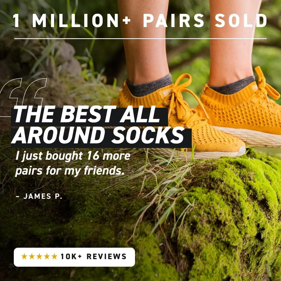 Alpaca No Show Socks for Men and Women, 2 Pack, Moisture Wicking Alpaca Socks for Hiking, Running, Outdoors, Any Season No Show Sock, Temperature Regulating, Light Compression, Large, Grey