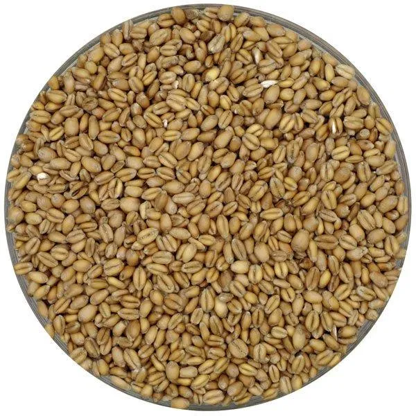 Weyermann Floor Malted Bohemian Pale Wheat Malt