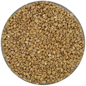 Weyermann Floor Malted Bohemian Pale Wheat Malt